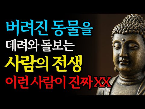 버려진 동물을 평생 돌보는 사람의 소름돋는 전생 | 이런 사람이 진짜 보살 | 부처님지혜 | 전생업보 | 인연 | 오디오북