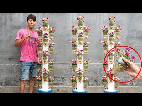 How I use discarded plastic bottles to make beautiful flower pots to decorate my living space