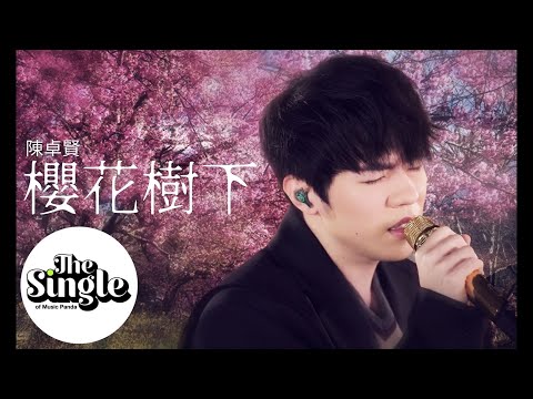 The Single 《櫻花樹下》陳卓賢Ian