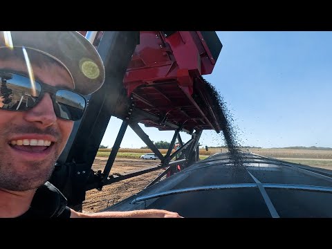 New Dump Cart In Action!! Lifting 70,000 Pounds! Ep. 4