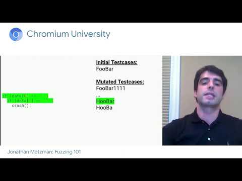 Fuzzing 101