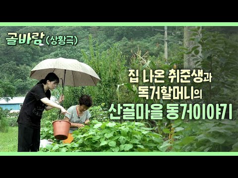 산골마을의 70대 독거 할머니/취준생/경남 고성군 와룡마을/시골 할머니집/합격자발표/상황극/골바람
