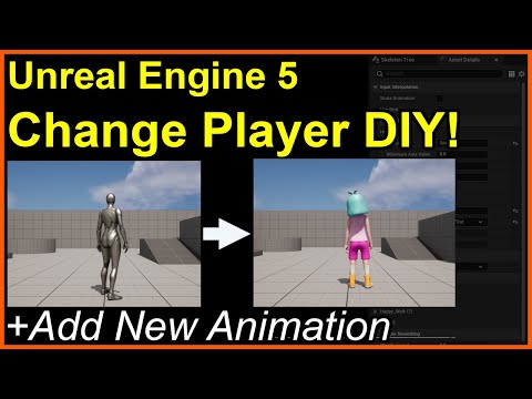 Build an Animation Blueprint from Scratch, and add Custom Animations using a Blend Space #ue5