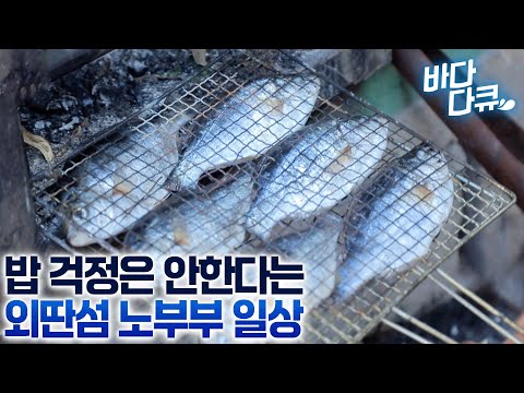 50년 우거진 야산까지 개발하며, 이 섬에서 제대로 살아보기로 했다/외딴섬 노부부/#바다다큐