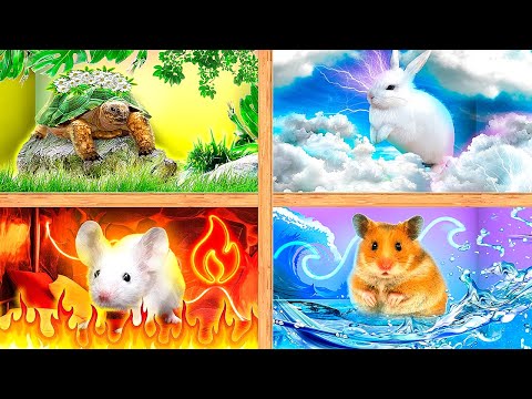 We Build Secret Rooms! Secret Rooms for 4 Elements Pets – Part 2