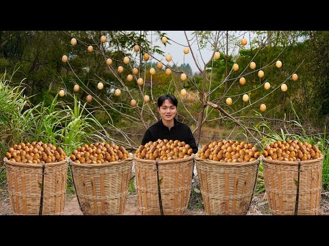 Traditional Chinese food: Sour jujube cake