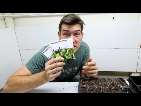 FIVE Seed Starting Mistakes You Probably Made In This Past Year