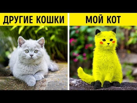 МИЛЫЕ ПОДЕЛКИ И ГАДЖЕТЫ ДЛЯ ВАШИХ ПИТОМЦЕВ || Гениальные лайфхаки для владельцев домашних животных