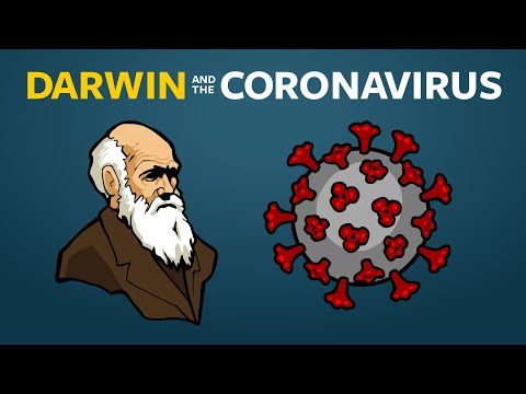 Where Do New Viruses Come From?