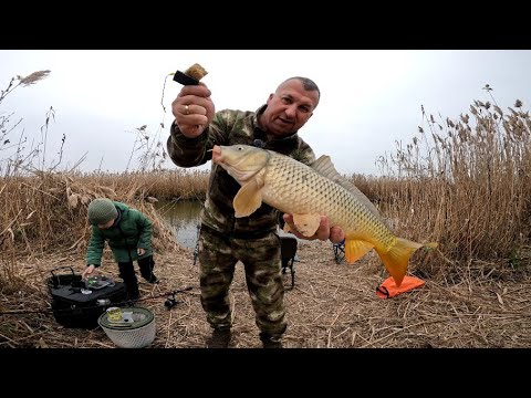 Рыбалка в конце ноября с берега. Карась и сазан. Красивые места. Астраханская область. Бирючья Коса.