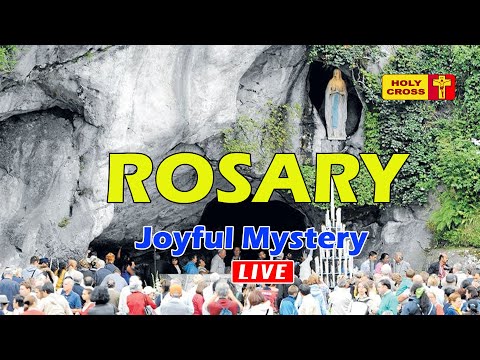 🔴 LIVE -13-10-2025 @ Holy  Rosary from Lourdes Grotto | Joyful Mystery | Holy Cross Tv