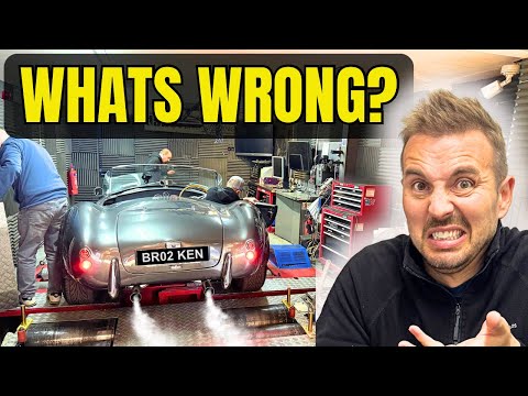 I STUPIDLY BOUGHT A CHEAP UNWANTED COBRA - BUT DIDN’T EXPECT THIS TO HAPPEN!