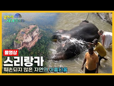 [걸어서세계속으로Full📺] 인도양의 진주로 불리는 곳 '스리랑카' 여행 Trip to Sri Lanka (KBS_20201212)