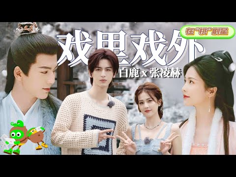 【Bai Lu x Zhang Linghe】Difference Within and Outside of Drama🤩| Story of Kunning Palace |宁安如梦| iQIYI
