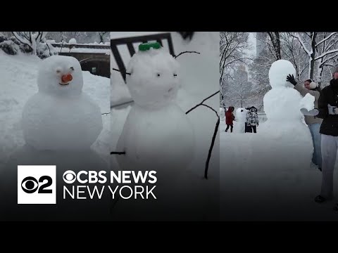 Snowpeople take over Central Park