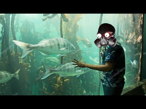 EFAP talks about animals... and FISH!