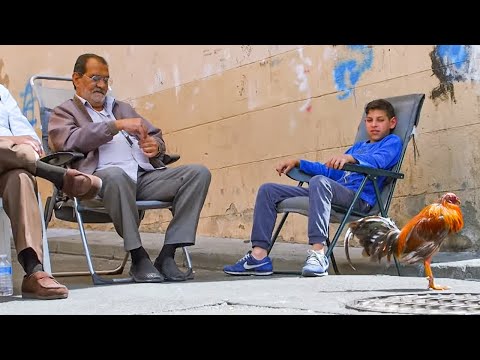 Gitans Children: A King's Life