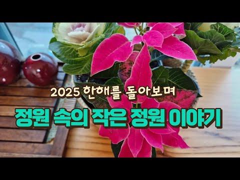 정원 속의 작은 정원 1년 간의 변화 과정 모음/화분 가꾸기의 장단점