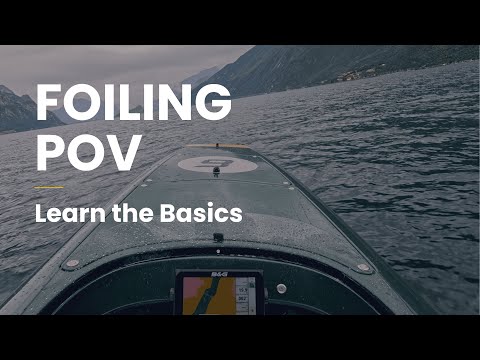 Foilone Pegasus POV - Learn the Basics