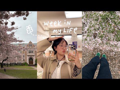 a week in my life 🌸 spring classes, cooking & daily life as a student