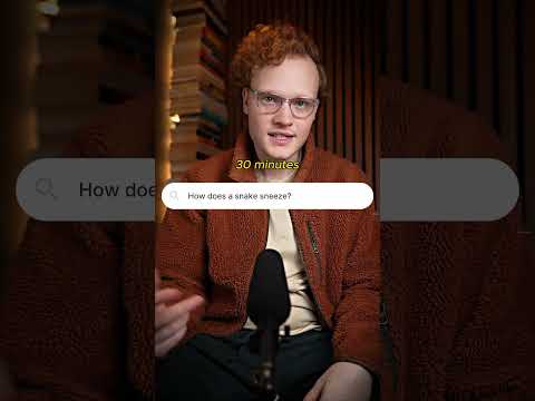 The Best Productivity Tool is Also the Cheapest