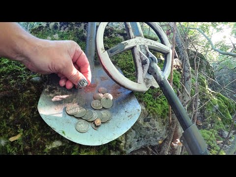 I was shocked! A purse of silver and gold! A ring of the Teutonic Knights!!!