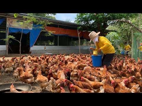 From OFFICE GIRL to FARM GIRL