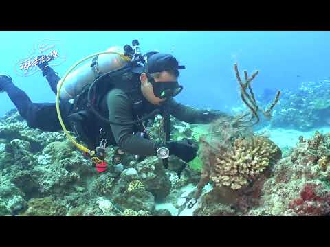 第452次水下清除活動紀錄 杉福沈船17米 113 09 25-山陀兒颱風前的高清無碼