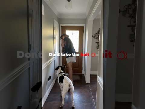 They tried to refund me $3,000 it was PHISHING 😳