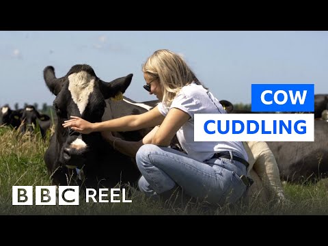 The unusual Dutch wellness trend travelling the globe - BBC REEL