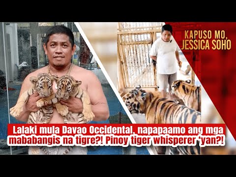 Lalaki mula Davao Occidental, napapaamo ang mga mababangis na tigre?! | Kapuso Mo, Jessica Soho