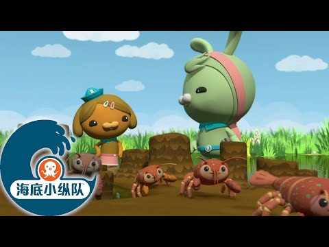 海底小纵队 - 泥里的怪物 | 完整版