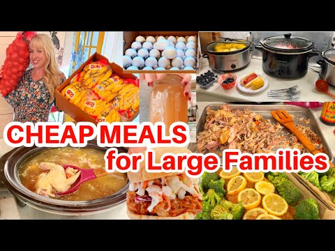 CHEAP MEALS for LARGE FAMILIES on a BUDGET from Scratch Homemade Dinners, Huge Slow Cooker Recipes!