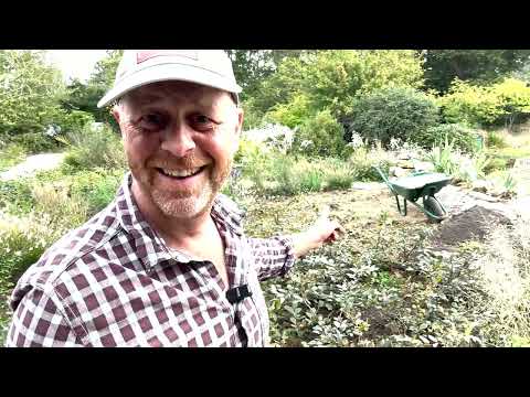 Joe's Country Garden - Bringing in the Topsoil