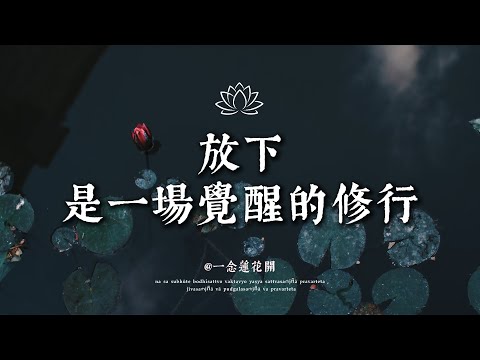 弘一法師曾言：凡是你想控制的 其實都控制了你 🪷一念蓮花開 #修行 #國學 #人生感悟 #治癒