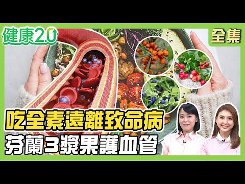 印度男星吃全素甩15種致命病！吃素4營養不能缺！幸福國家芬蘭3漿果護血管！奇異博士52斷食擁性感身材！健康2.0 20250517【完整版】#陳欣湄#韋汝#林謂文#余雅雯#劉怡里#Miya#林秋香