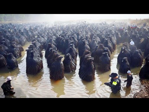 This Is How Finland Solved Nuclear Power’s Biggest Problem