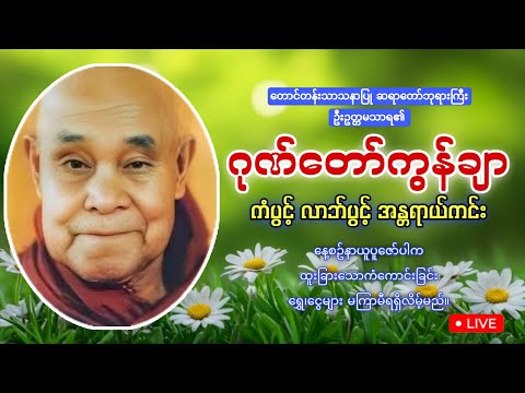 🙏🙏🙏မနက်ခင်းမှစ ကံပွင့်လာဘ်ပွင့်စေရန် #ဂုဏ်တော်ကွန်ချာ🙏🙏🙏#mmtayarchannel