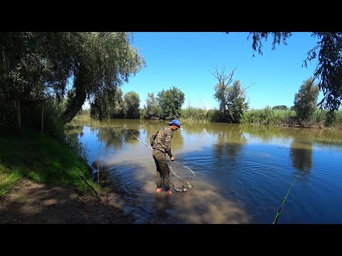 РЕАЛЬНЫЙ КЛЁВ В ЖАРУ +50°С. РЫБАЛКА В ДЕЛЬТЕ ВОЛГИ. Ловля сазана на макуху, макушатник, жмых.