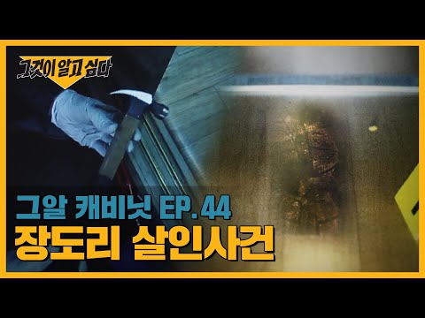 발자국의 주인은 누구인가? 장도리 살인사건 | 그알 캐비닛