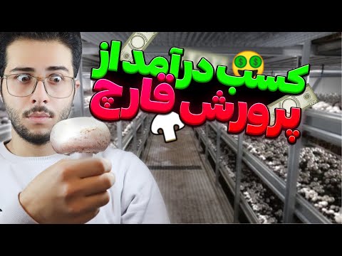 صفر تا صد پرورش قارچ: واقعیت های پرورش قارچ دکمه ای