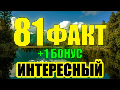 81 Интересный Факт, Который Вы Точно Не знали... — (+1 БОНУС ФАКТ)