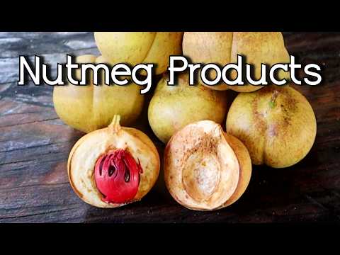 The Many Uses Of Nutmeg FRUIT (Jam, candy, medicine, juice and more!)