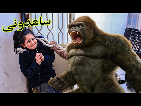 لما بنتك تجيب غوريلا على البيت 😱 واخواتها يخافو منها !!