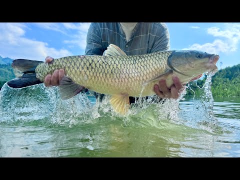 Traditional Fishing Skills - Girl Catches Giant Fish With Bamboo Rod In Green River.