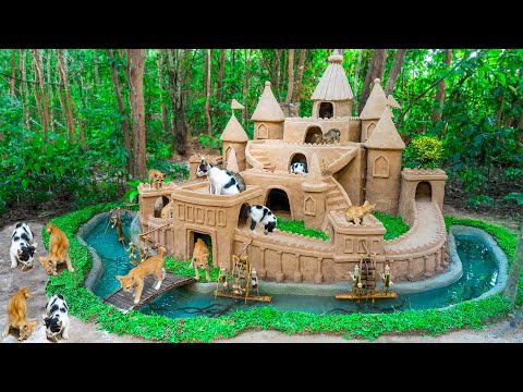 Cat Rescue From Abandoned Feeding Cat 50 Days Build Castle And Eel Pond Around Dog House