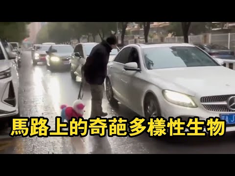 Witness biodiversity once again!