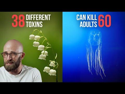 50 of the Deadliest Plants and Animals on Earth