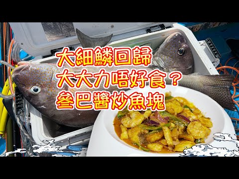 【漁人推介】香港水域 阿火帶大家出海玩徒手潛水，大細鱗回歸，大大力唔好食？捉到點算好？回家製作叄巴醬炒魚塊 Catch and Cook  Sweetlips with Sambal