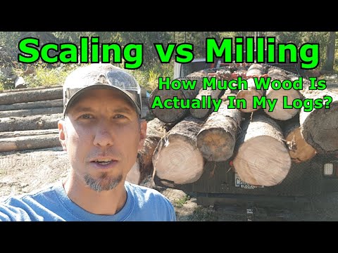 Scaling vs Milling, How Much Wood Is Actually In My Logs?